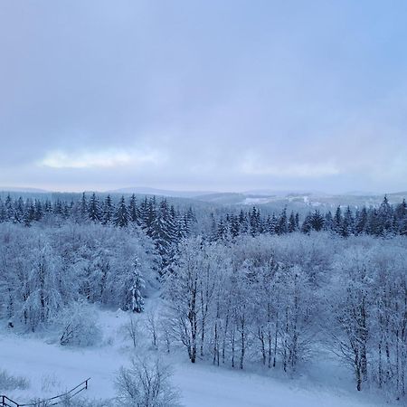 Ferienwohnung Skadi, Hahnenklee Goslar Exteriör bild