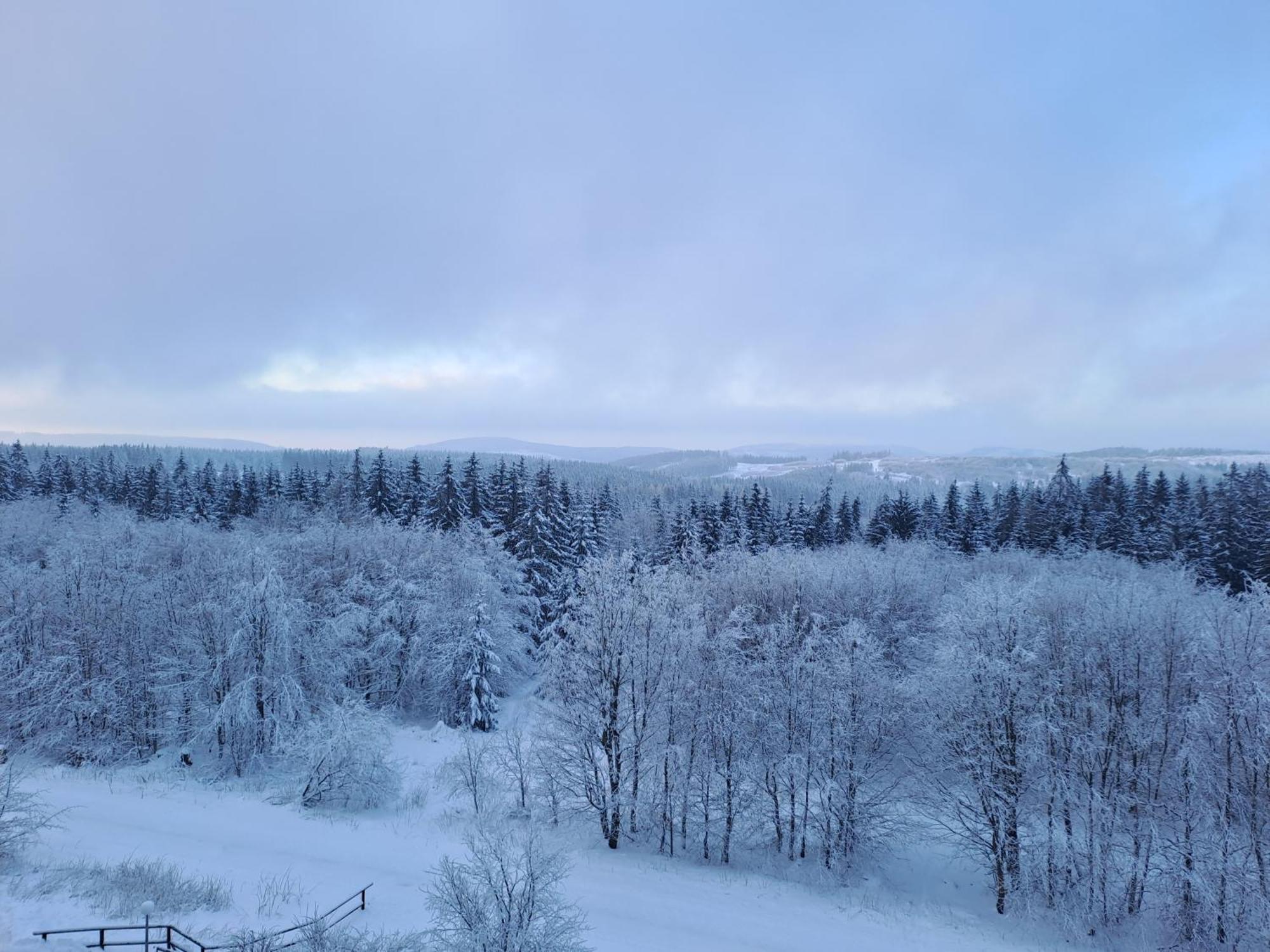 Ferienwohnung Skadi, Hahnenklee Goslar Exteriör bild